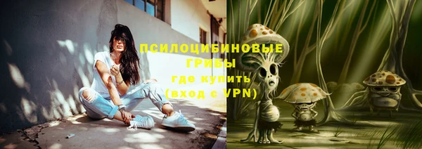 гашик Бугульма