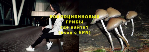 гашик Бугульма
