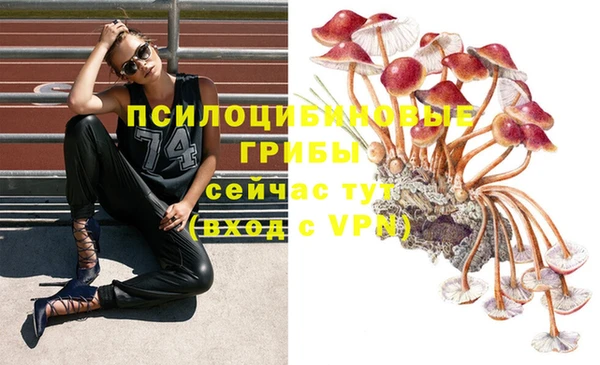 гашик Бугульма